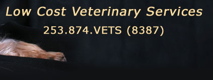 Low Cost Veterinary Services